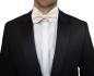 Preview: Men's bow tie elegant festive ivory paisley V44