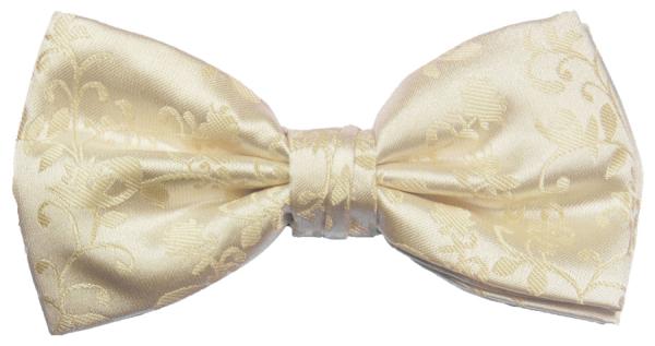 Men's bow tie modern elegant champagner floral V18