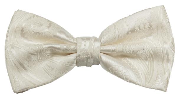 Men's bow tie elegant festive ivory paisley V44